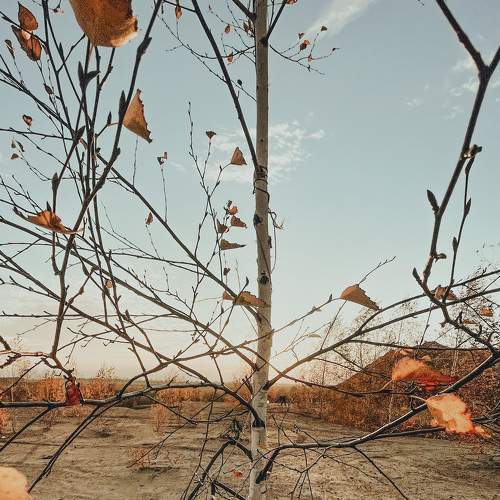 Photo #6653054