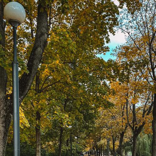 Photo #6653055