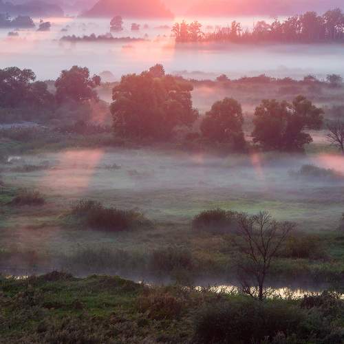 Фотография #6653182