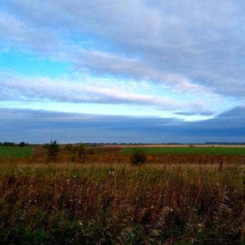 Photo #6653606