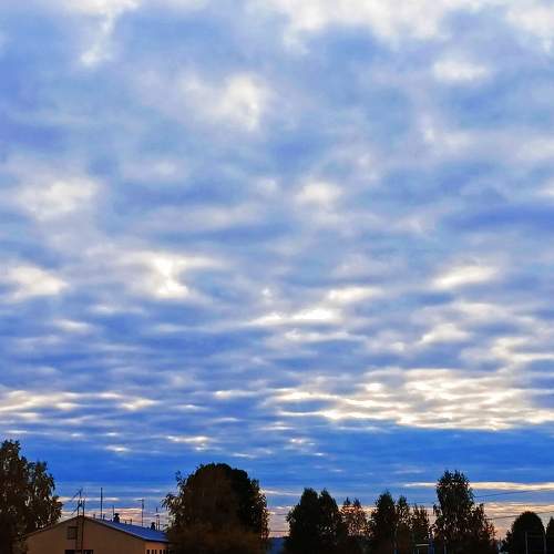Photo #6653611