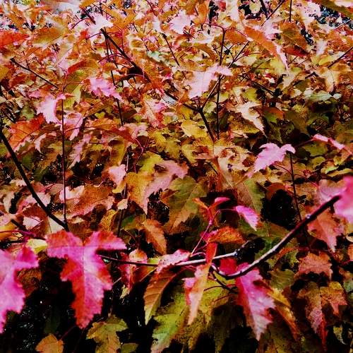 Photo #6653617