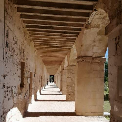 Photo #6653643