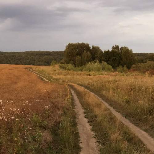 Photo #6653863