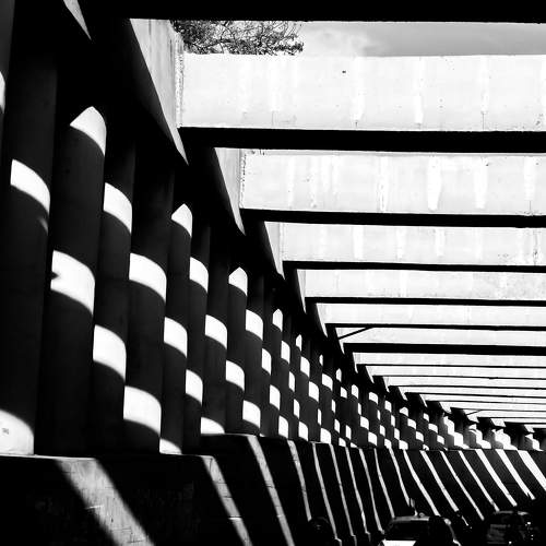 Photo #6653897