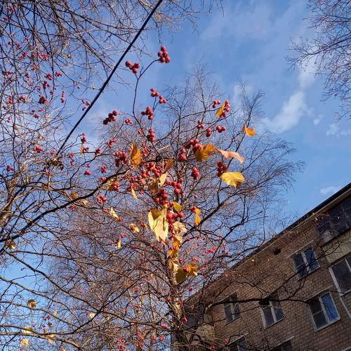 Photo #6653916