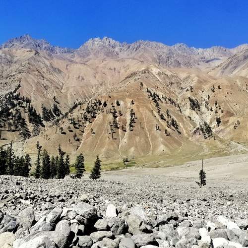 Photo #6654021