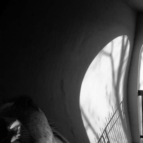 Photo #6654058