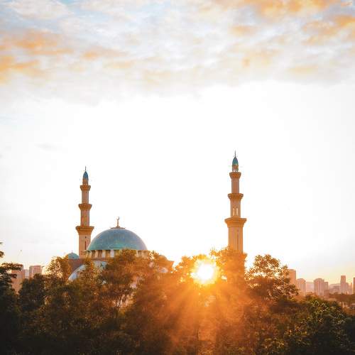 Photo #6654484