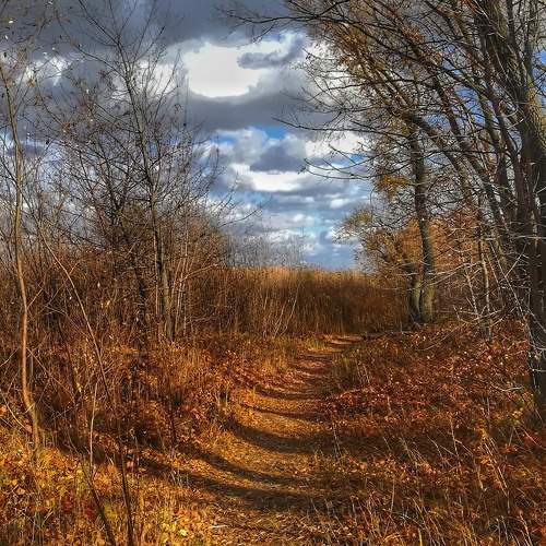 Photo #6654915