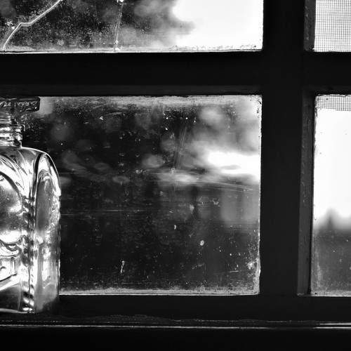 Photo #6654952
