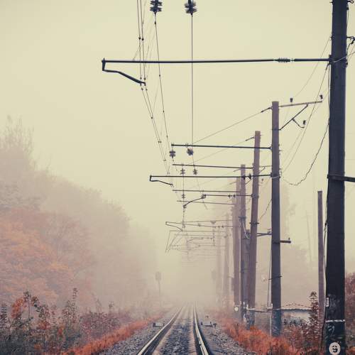 Photo #6655164