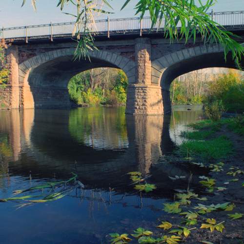 Photo #6655311