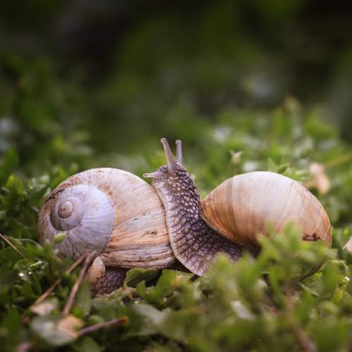 Photo #6655319
