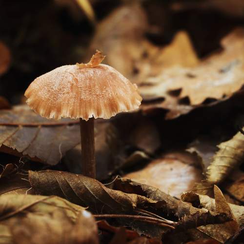Photo #6655326