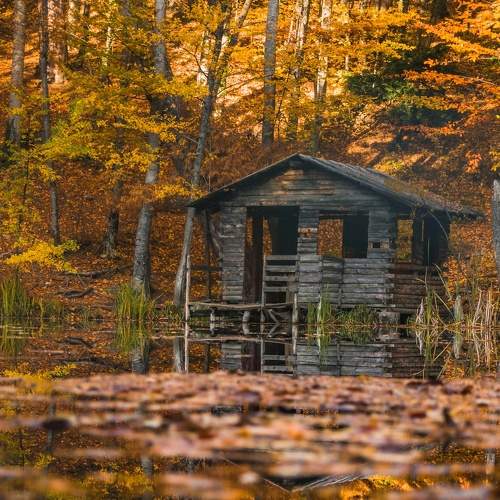 Photo #6655338