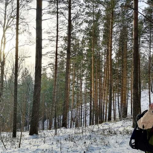 Photo #6655402