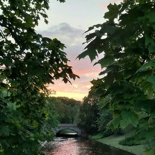 Photo #6655424