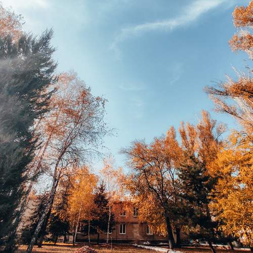 Photo #6655558