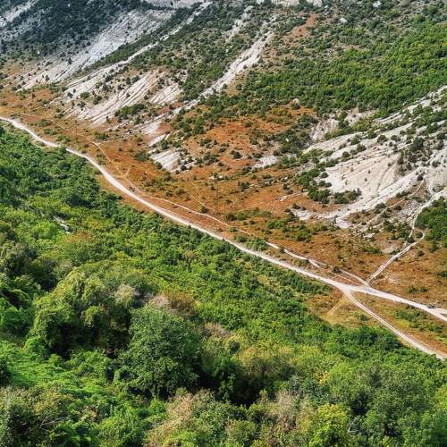 Photo #6655578