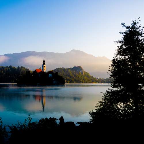 Photo #6655589