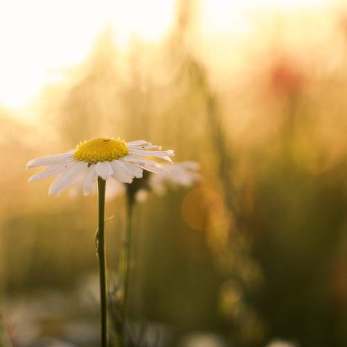 Photo #6655644