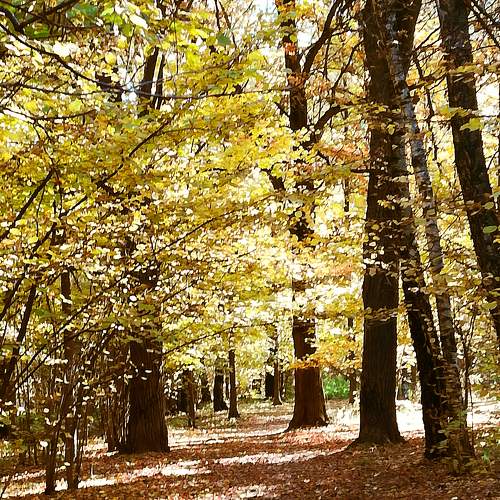 Photo #6655729