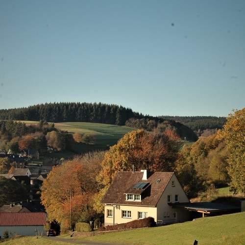 Photo #6655793