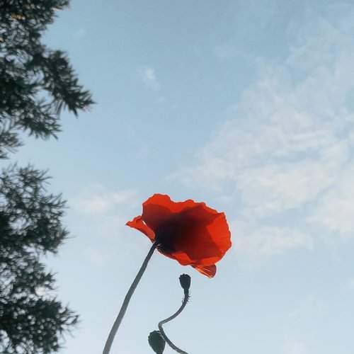 Photo #6656298