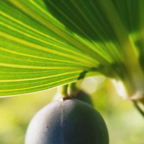 Photo #6656307