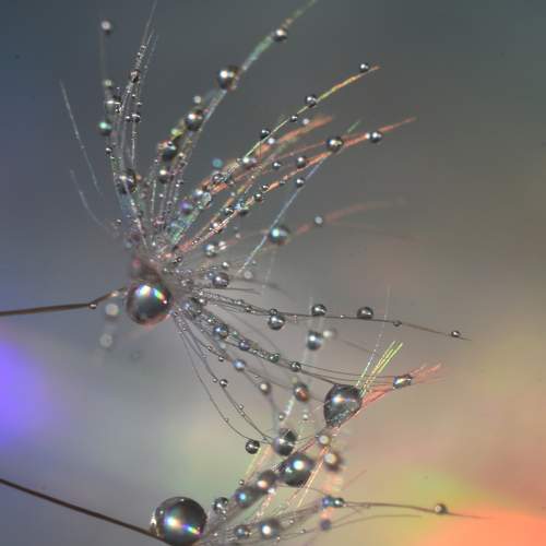 Photo #6656525
