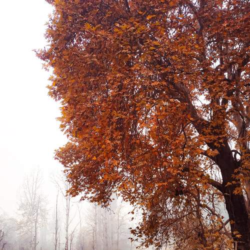 Photo #6656562