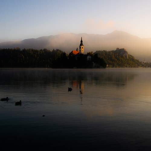 Photo #6656722