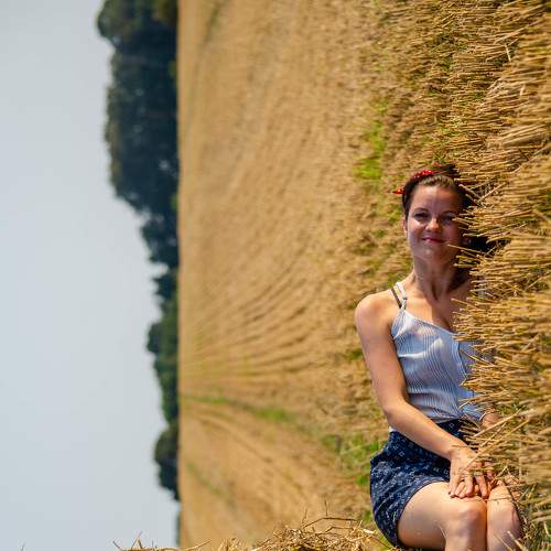 Photo #6656967