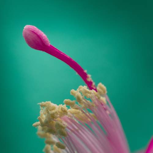 Photo #6656982