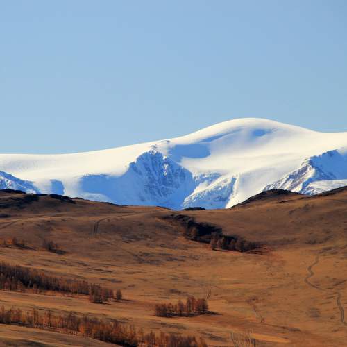 Photo #6657057