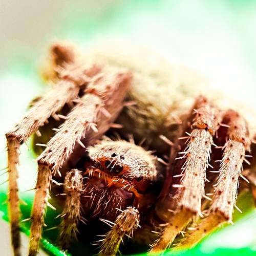 Photo #6657400