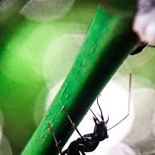 Photo #6657408
