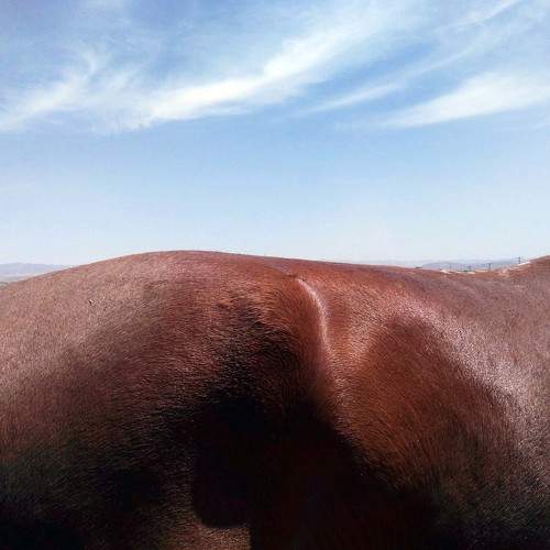 Photo #6657425
