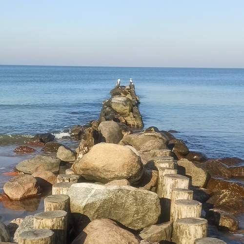 Photo #6657616