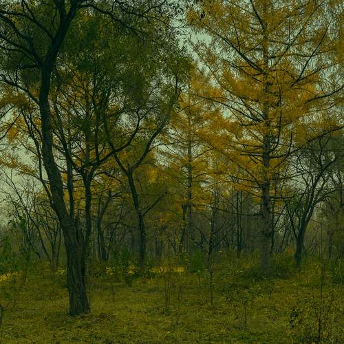 Photo #6657629