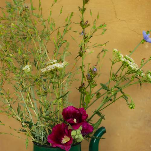 Photo #6658137