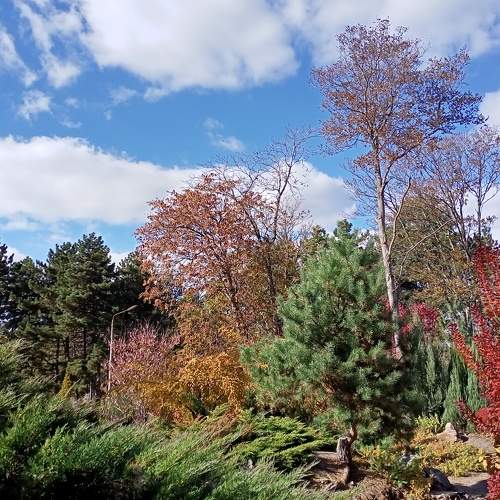 Photo #6658228