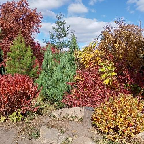 Photo #6658229