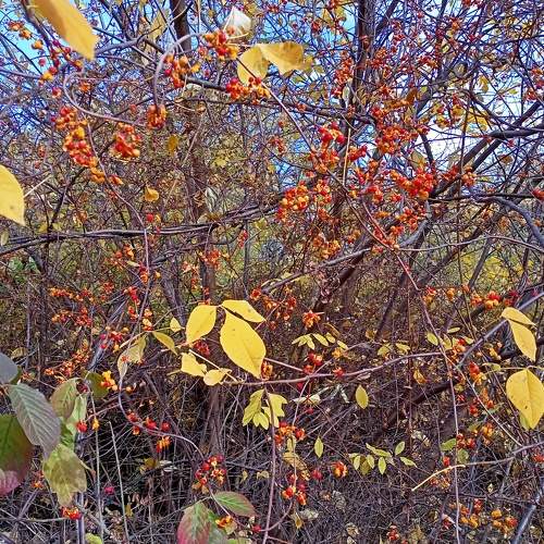 Photo #6658231