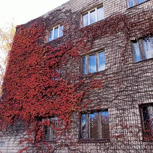 Photo #6658234