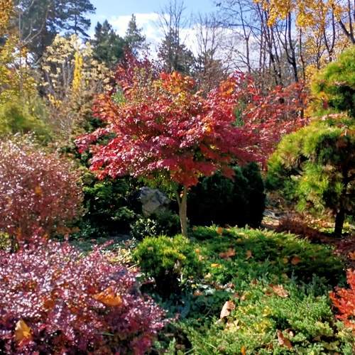 Photo #6658238