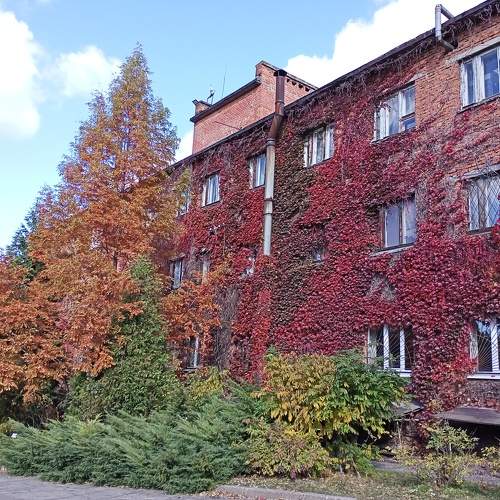 Photo #6658239