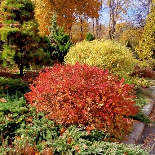 Photo #6658240