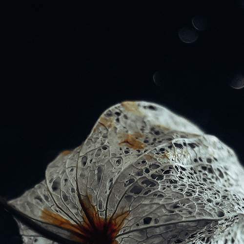 Photo #6658478